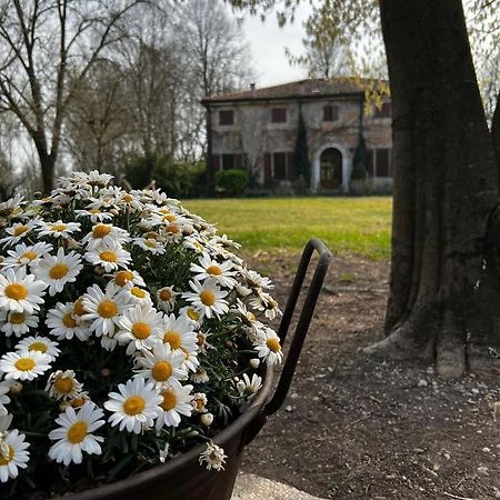 Agriturismo Corte San Girolamo Mantua Zewnętrze zdjęcie