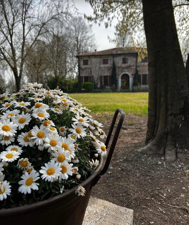 Agriturismo Corte San Girolamo Mantua Zewnętrze zdjęcie