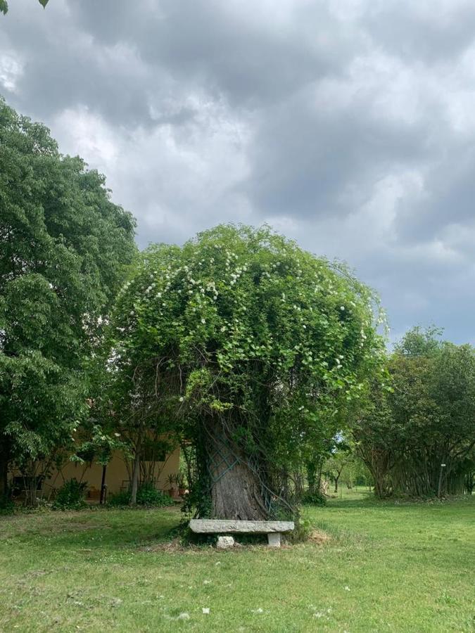 Agriturismo Corte San Girolamo Mantua Zewnętrze zdjęcie