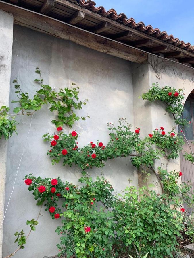 Agriturismo Corte San Girolamo Mantua Zewnętrze zdjęcie