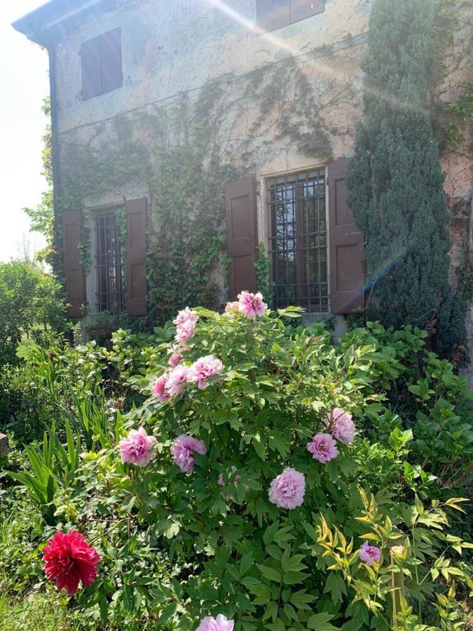 Agriturismo Corte San Girolamo Mantua Zewnętrze zdjęcie