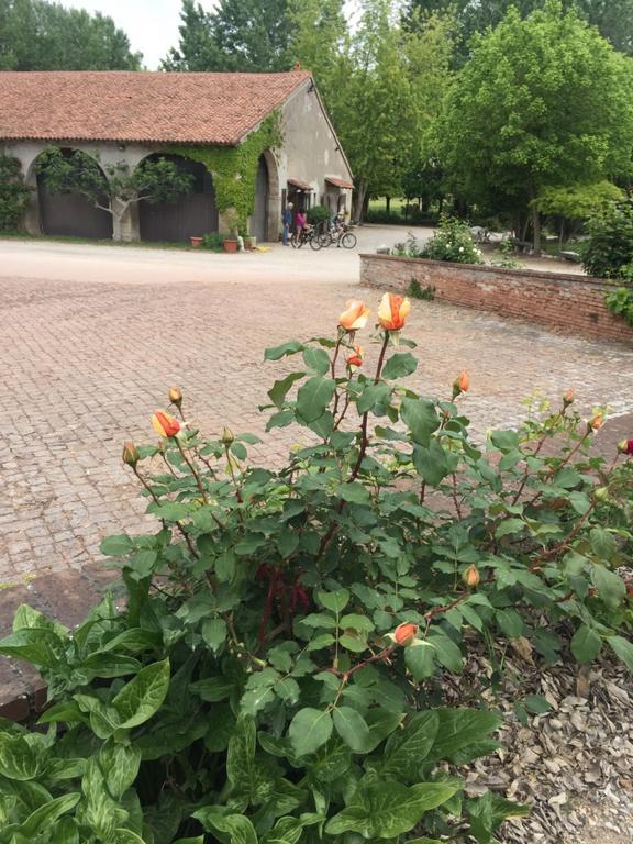 Agriturismo Corte San Girolamo Mantua Zewnętrze zdjęcie