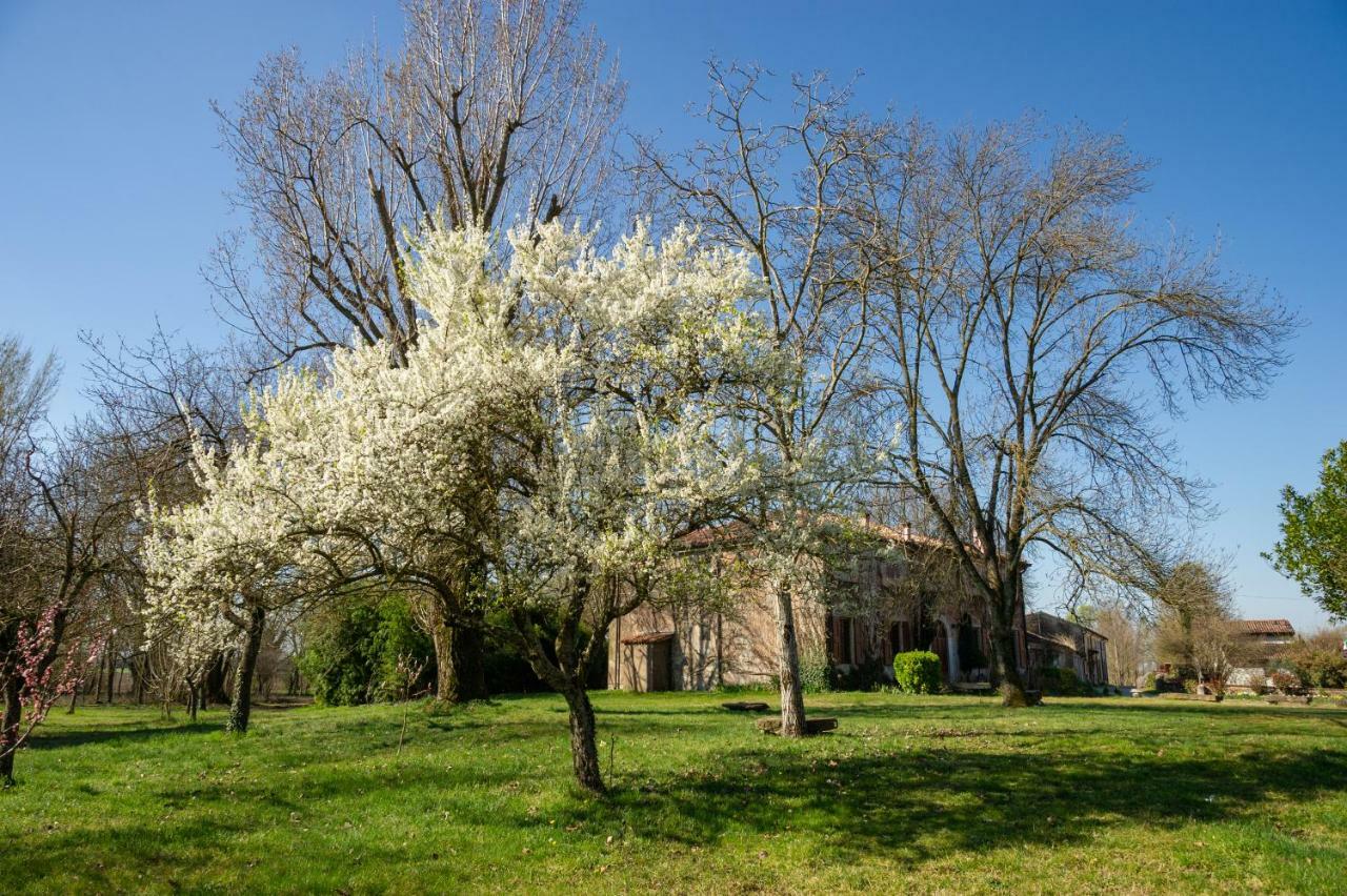 Agriturismo Corte San Girolamo Mantua Zewnętrze zdjęcie